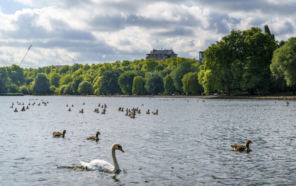 Date Ideas in Knightsbridge, London